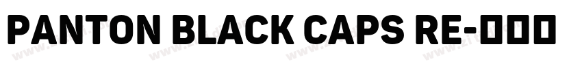 panton black caps re字体转换